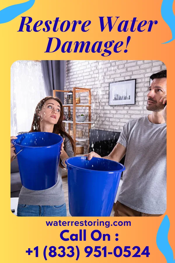 water restoration Best Emergency Restoration Solutions Three Oaks