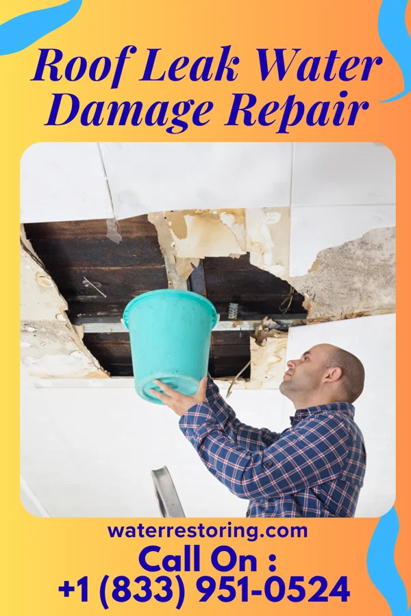 Roof Leak Water Damage Repair in Three Oaks, FL